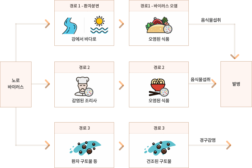 노로바이러스 감염 전파 경로