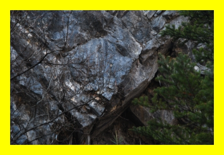 국립자연휴양림 예약&amp;#44; 국립자연휴양림 예약 성수기 추첨&amp;#44; 국립자연휴양림 추첨