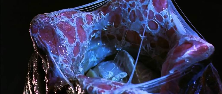 AvP 1: 에이리언 vs 프레데터 (2004) 영화