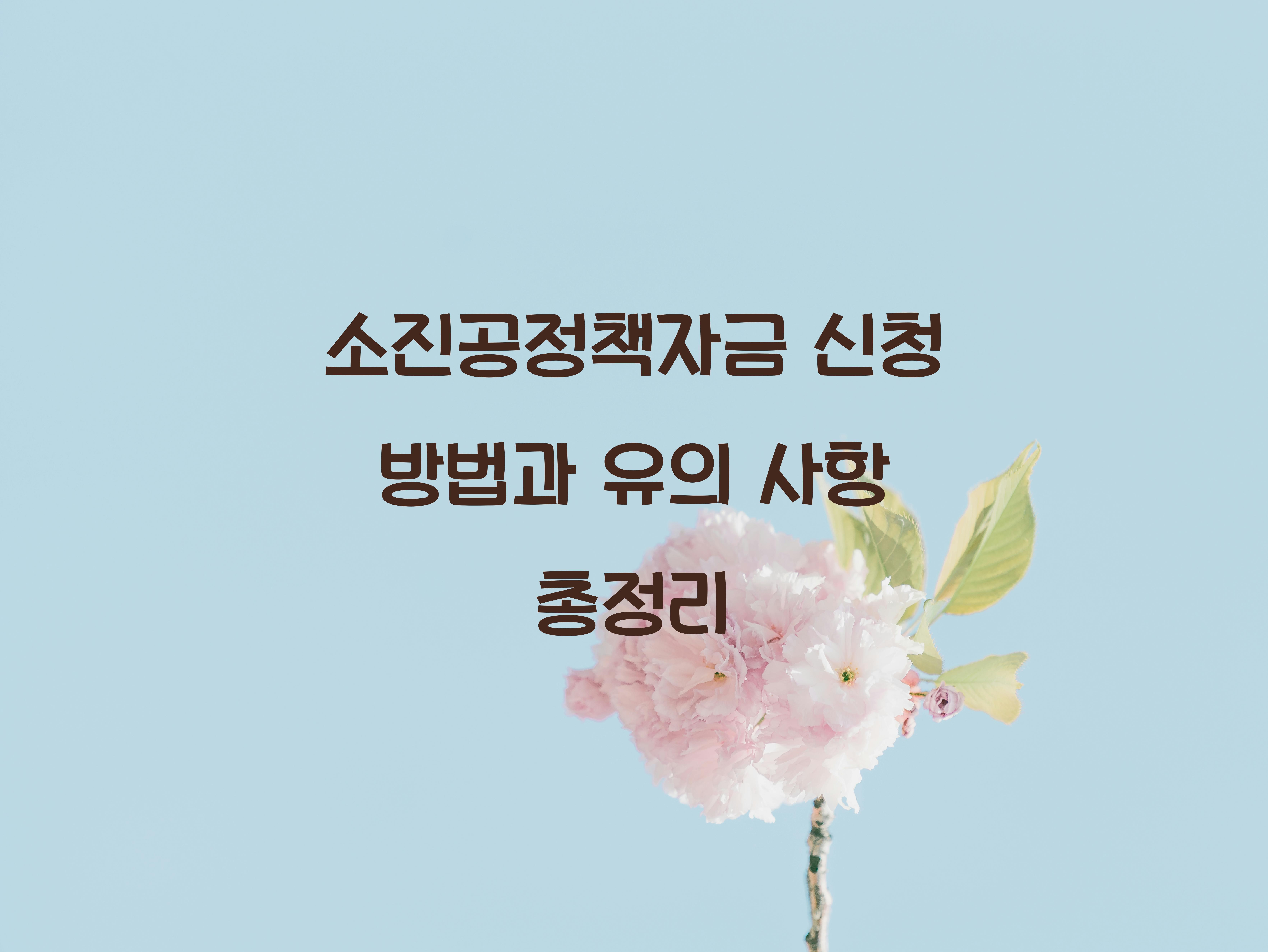 소진공정책자금