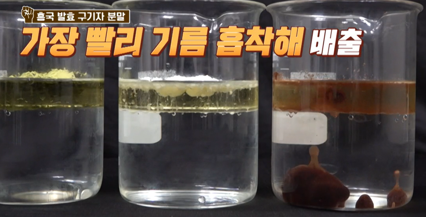 홍국 발효 구기자 효능