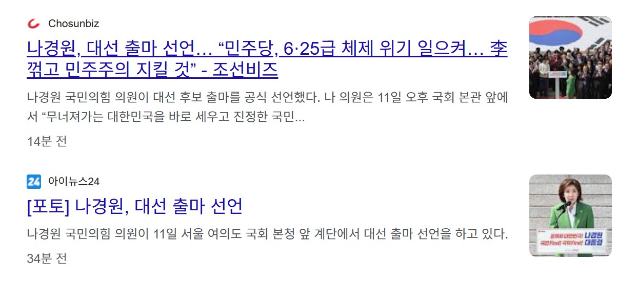 나경원 대선 출마