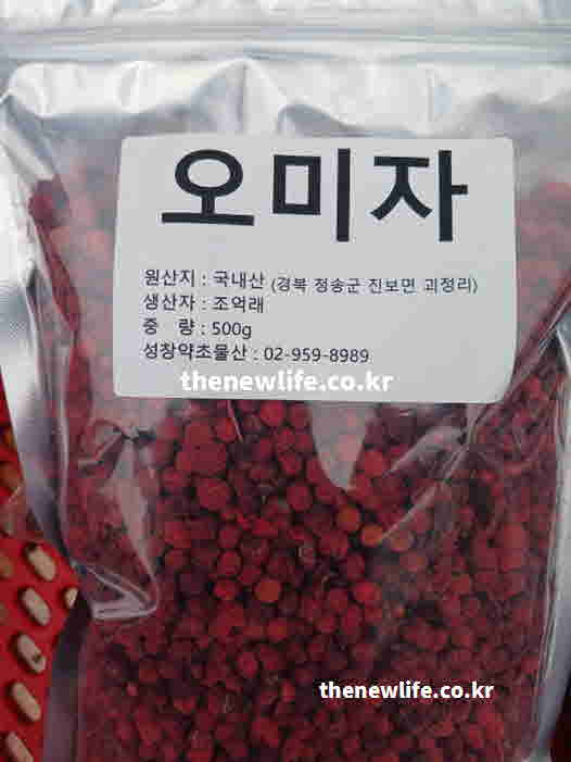 오미자차 효능 방법 차가운 미지근한 물
