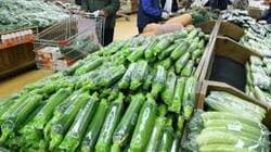 농할상품권 사용처 구매방법 할인 2024