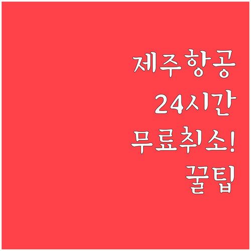 제주항공 예매 후 24시간 무료 취소..