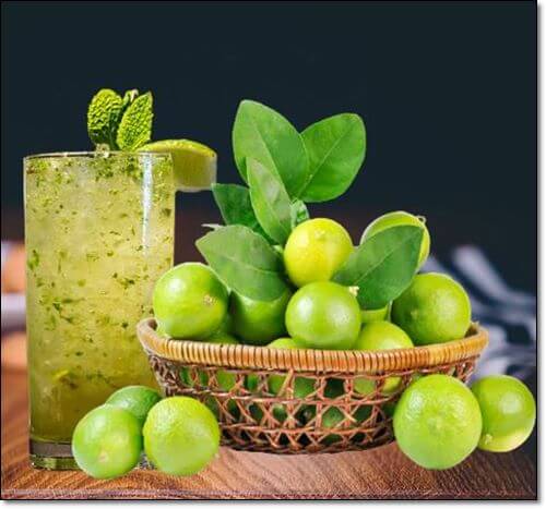 라임물 만드는법