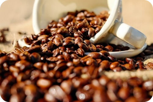 홈카페 커피그라인더 추천 가정용 자동 펠로우 오드2 그라인더