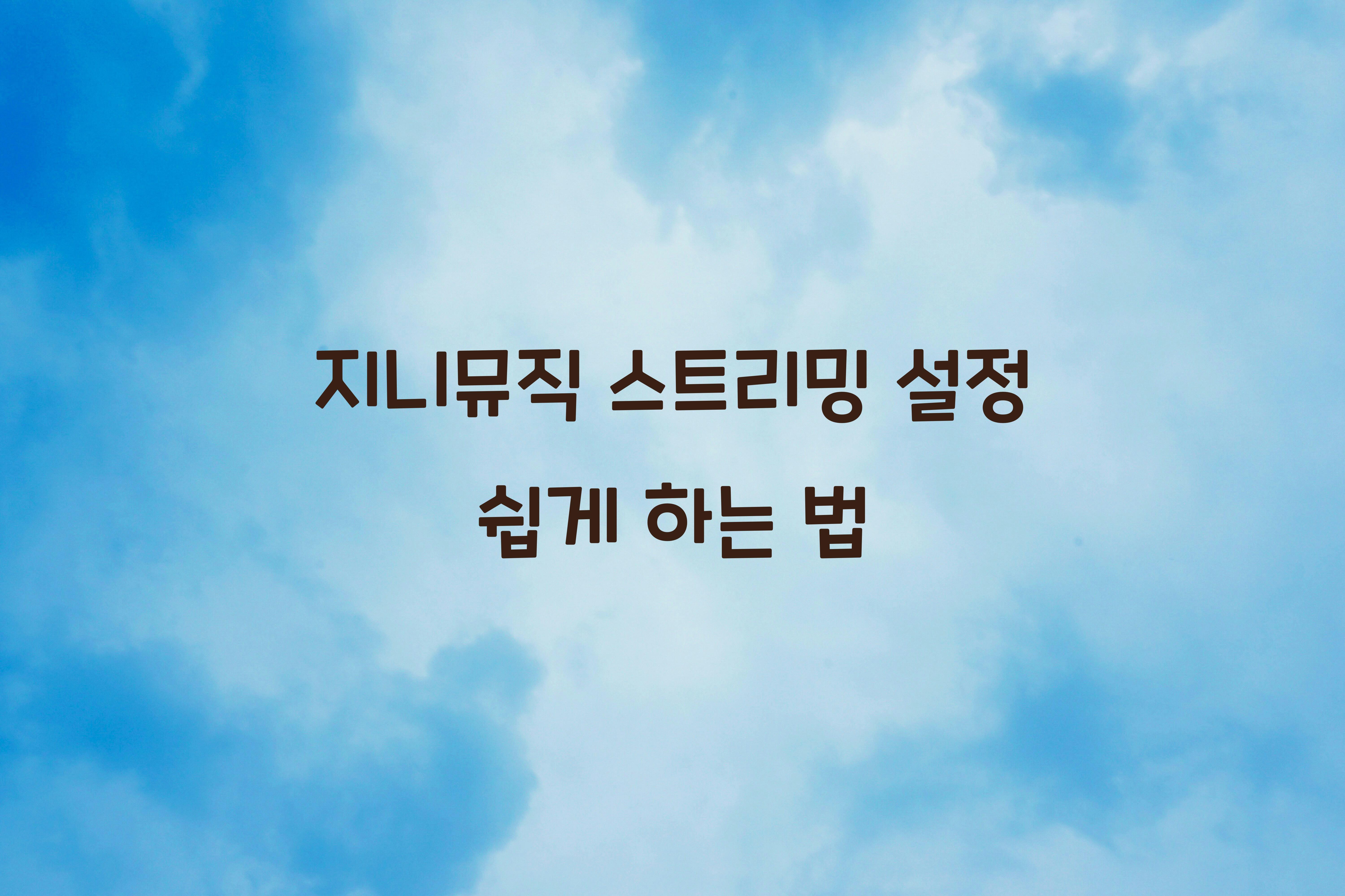 지니뮤직 스트리밍 설정