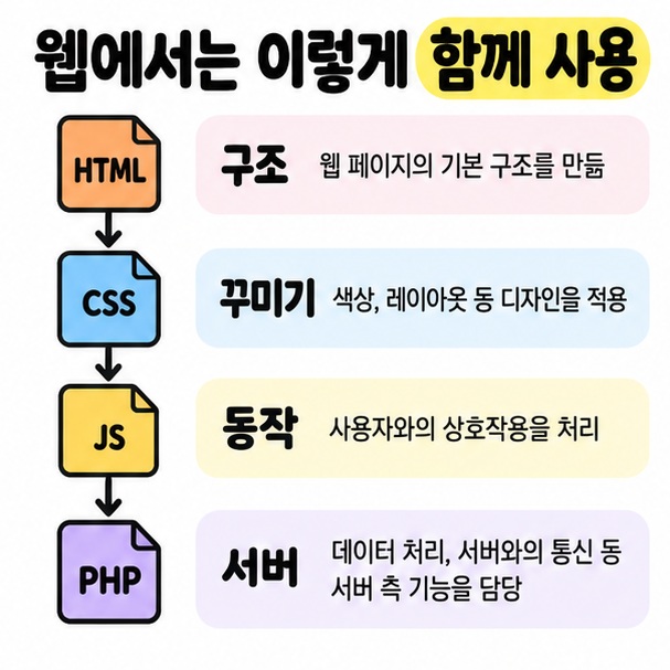 웹페이지에서 HTML에서 CSS와 JS가 연결되고 PHP가 서버와 이어지는 흐름을 보여주는 카드