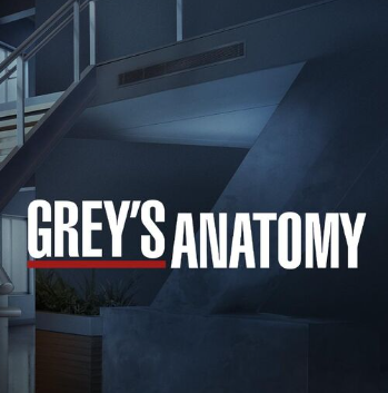 그레이 아나토미