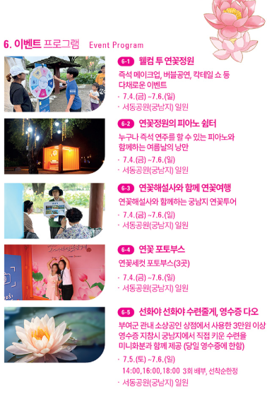 부여 연꽃축제