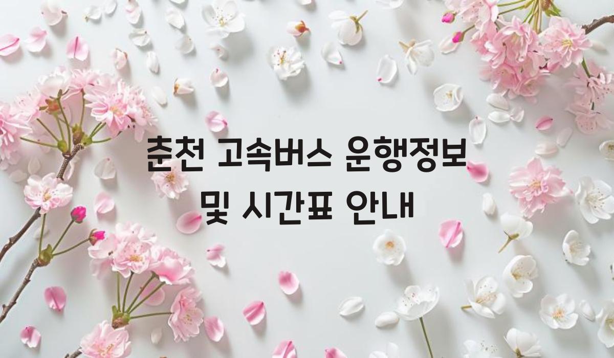 춘천 고속버스 운행정보