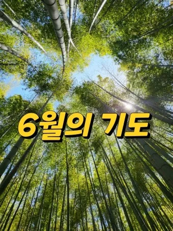 6월 넷째주 주일 대표 기도문 모음_12