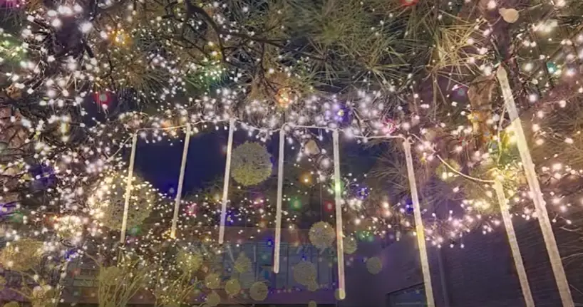 겨울방학 국내 여행지- 초록색 나무에 흰색 조명들