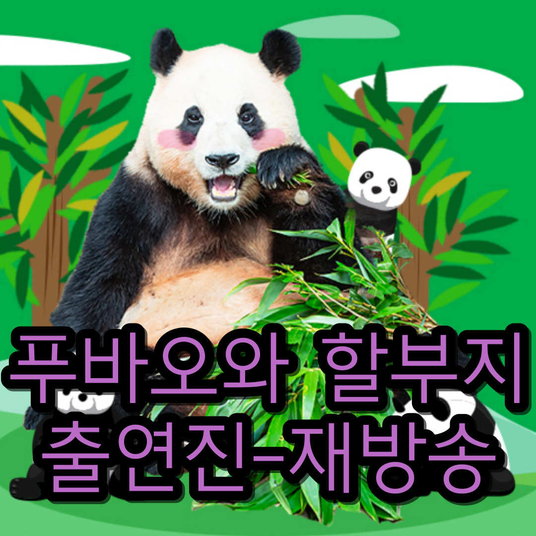 [푸바오와 할부지] 출연진-재방송-정보