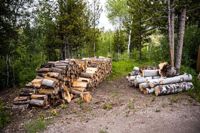 산에 나무가 쌓여 있는 모습