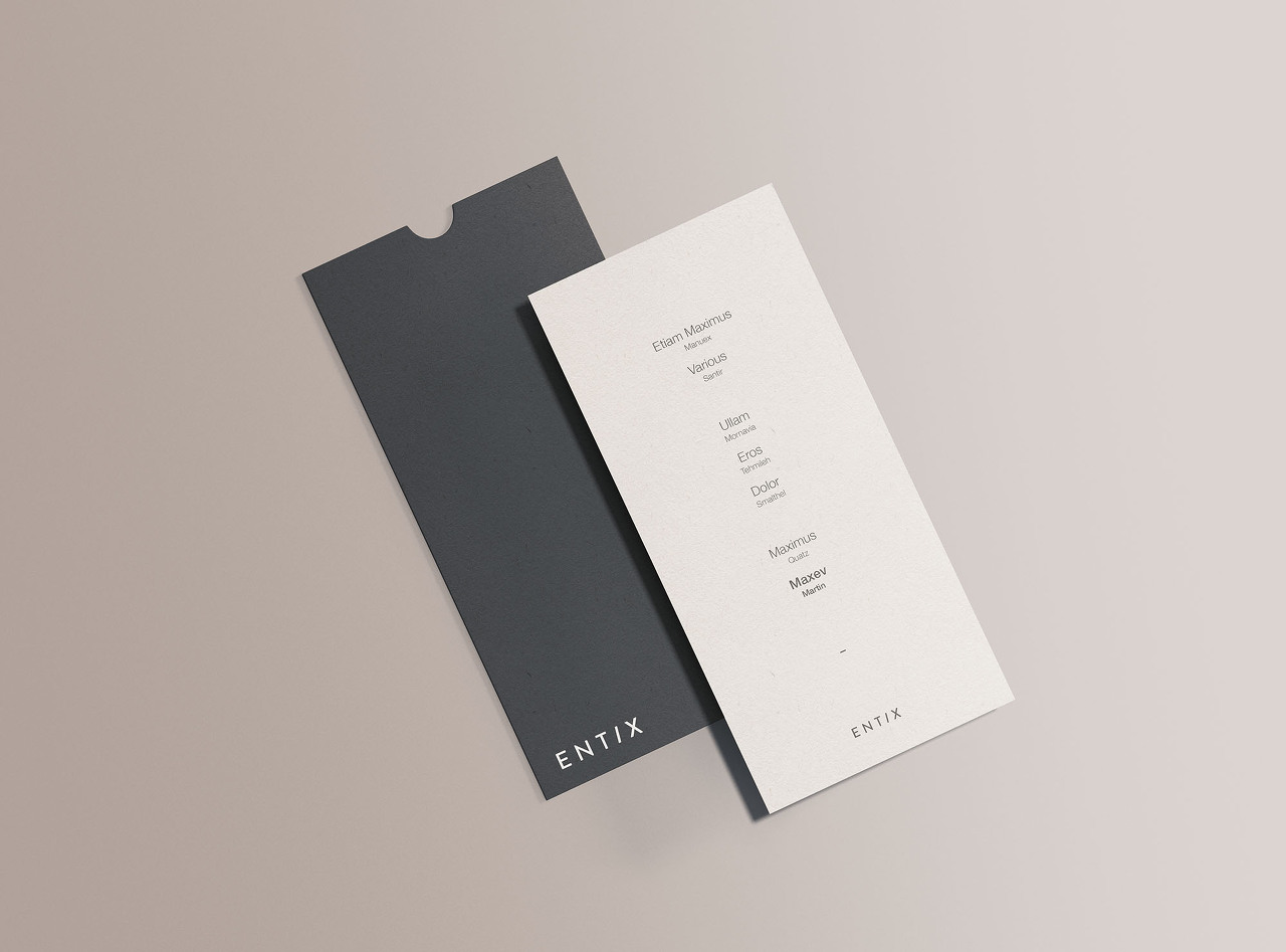 DL Flyer Mockup(DL 플라이어 목업)