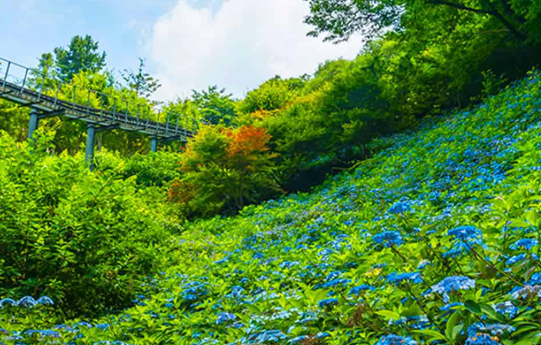 화담숲