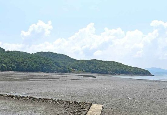 모항갯벌체험장