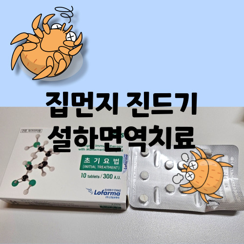 집먼지진드기 설하면역치료