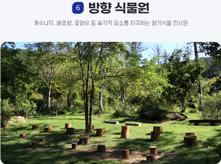 물맑음 수목원