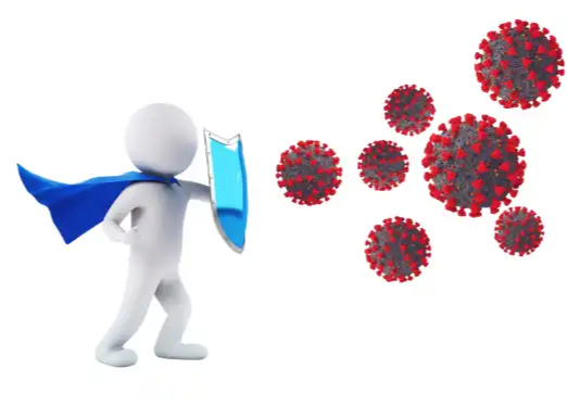 대추 효능과 영양성분 먹는 방법 부작용