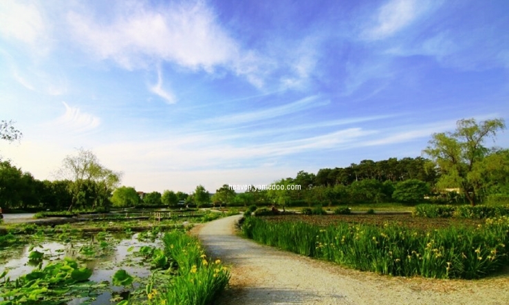 부여 가볼만한곳 베스트10