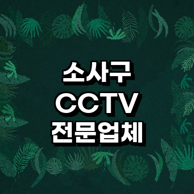 부천 소사구 cctv