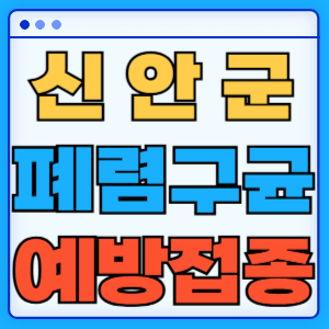 전라남도 신안군 폐렴구균 백신 무료 예방접종 비용지원 가격 신청방법 대상자 간격 13가 15가 20가 23가