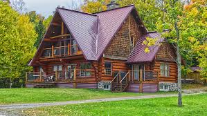 비대면 주민등록 사실조사 방법