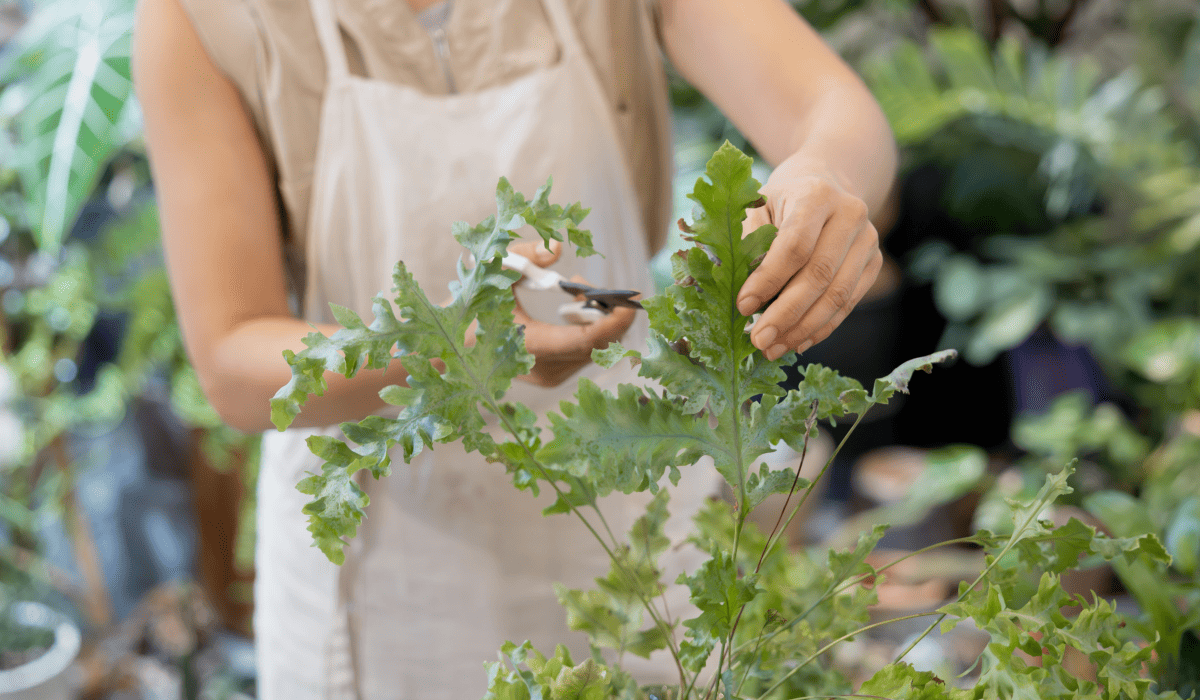 소상공인_정책자금_신청방법_43