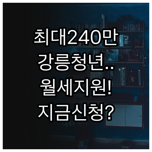 최대 240만원 지원 2026년 강릉..