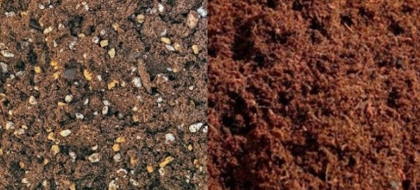 상토와 배양토의 차이 완벽 정리 (초보자를 위한 흙 선택 가이드)