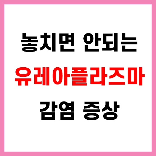 유레아플라즈마