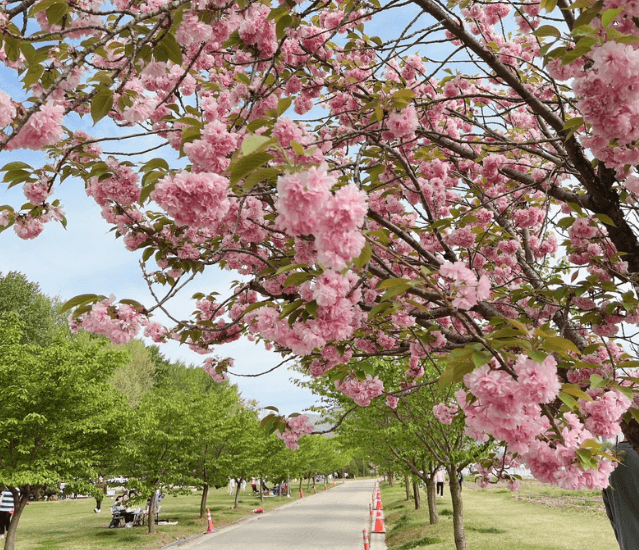 미사경정공원