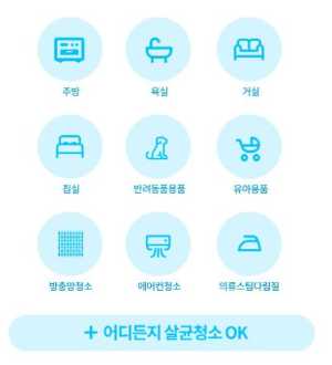 비쎌 스팀청소기