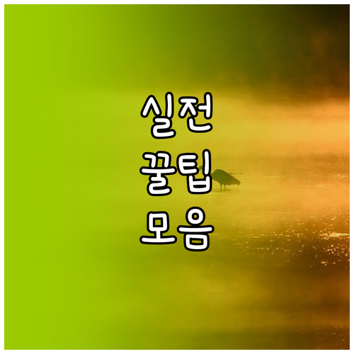 자연을 담은 색, 숨겨진 기술, 20..