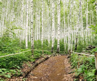 서울 지하철 근교 숲길 트레킹 코스 추천 TOP 5