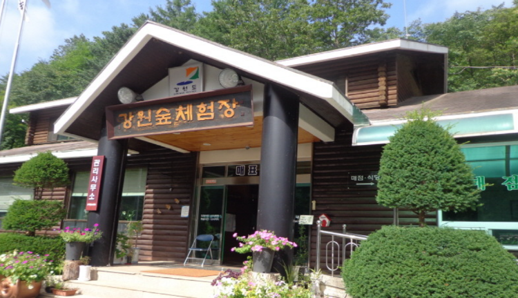 강원 숲체험장