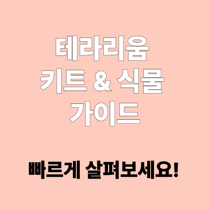 테라리움 키트와 식물 선택 가이드