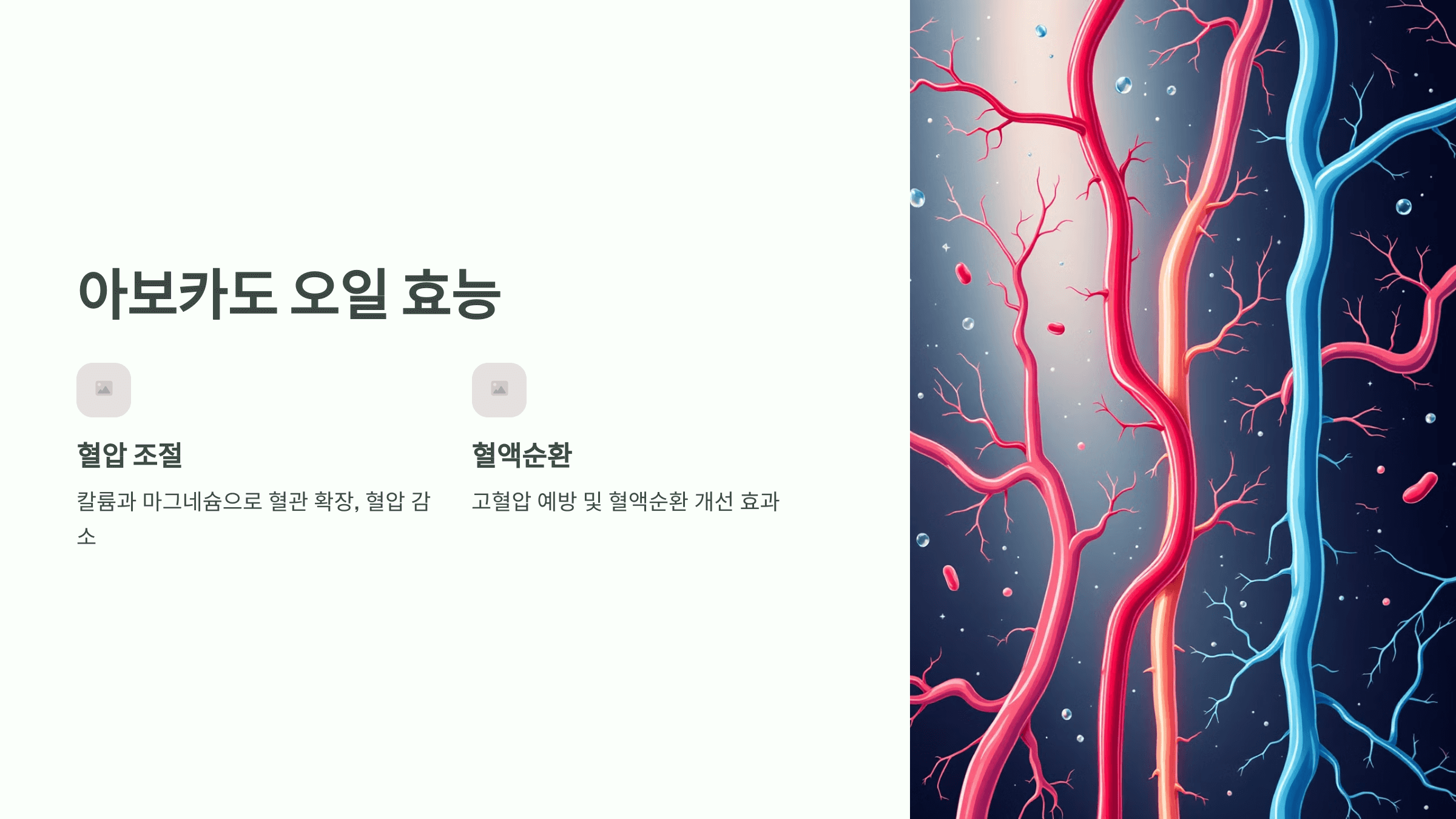 아보카도 오일 사진입니다.