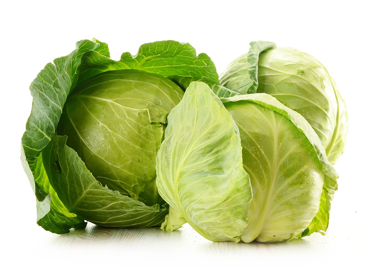 Cabbage