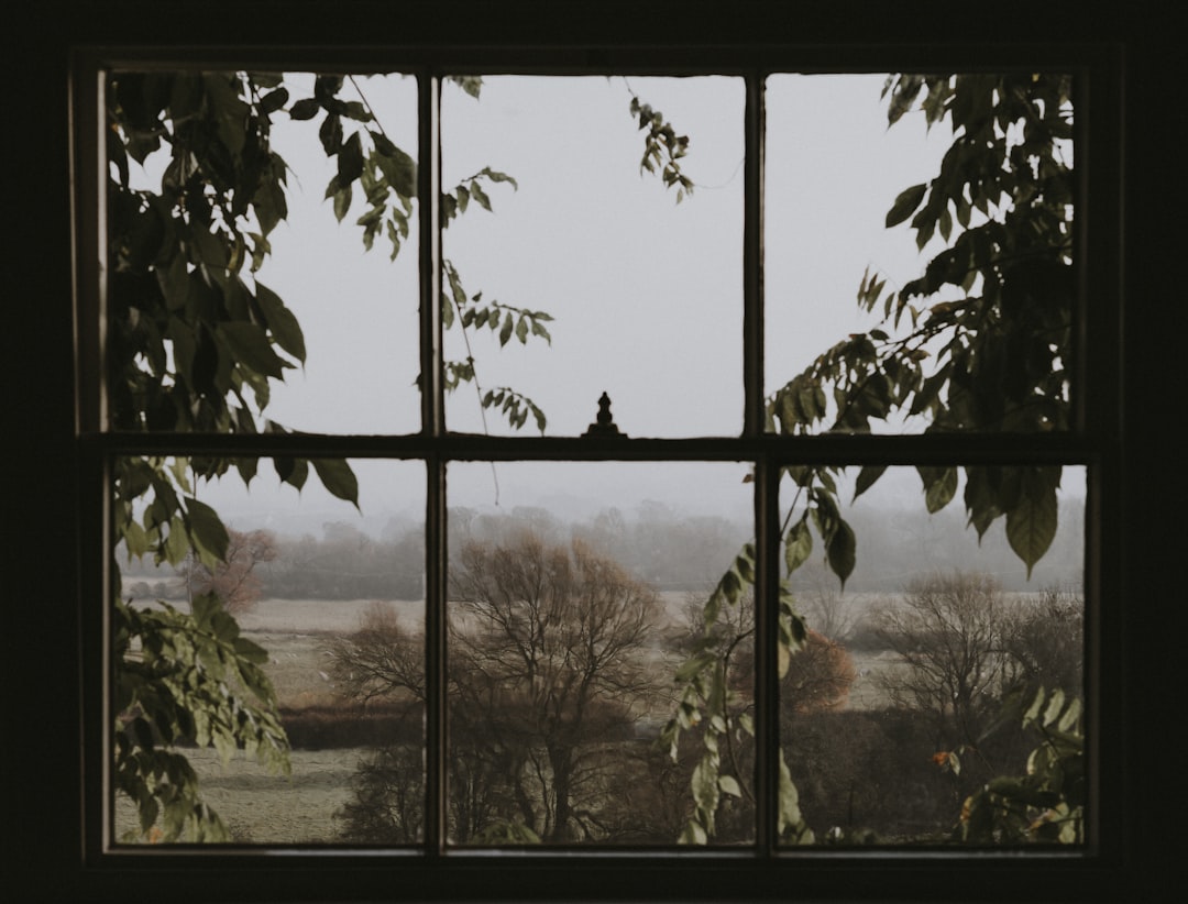 Window