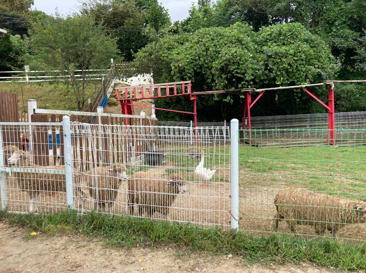 은아목장 목장체험