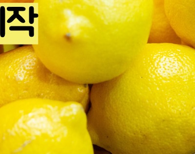 레몬즙 효능