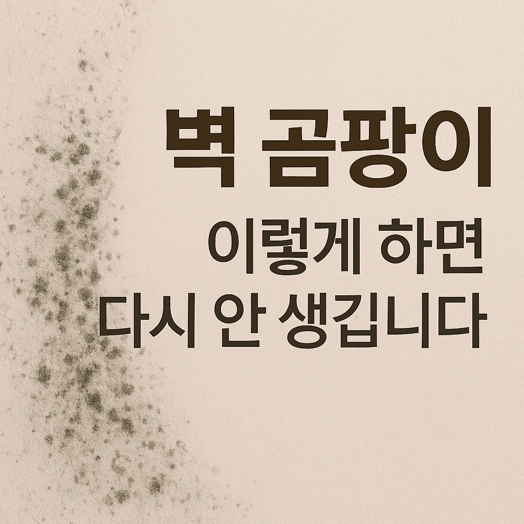 벽 곰팡이 이렇게 하면 다시 안 생깁니다.