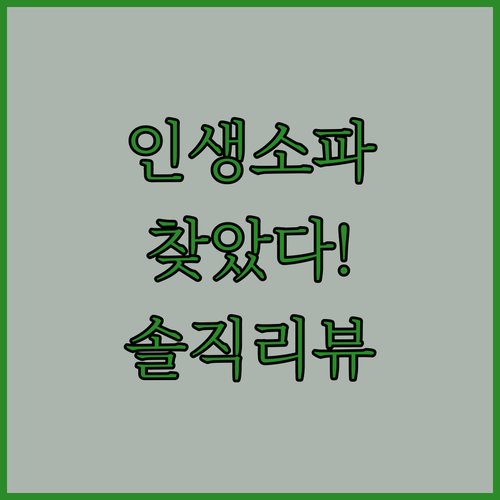 인생 소파 찾았다! 오늘의집 LOUN