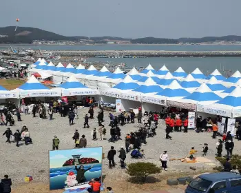 서천 자연산 광어 도미축제_4