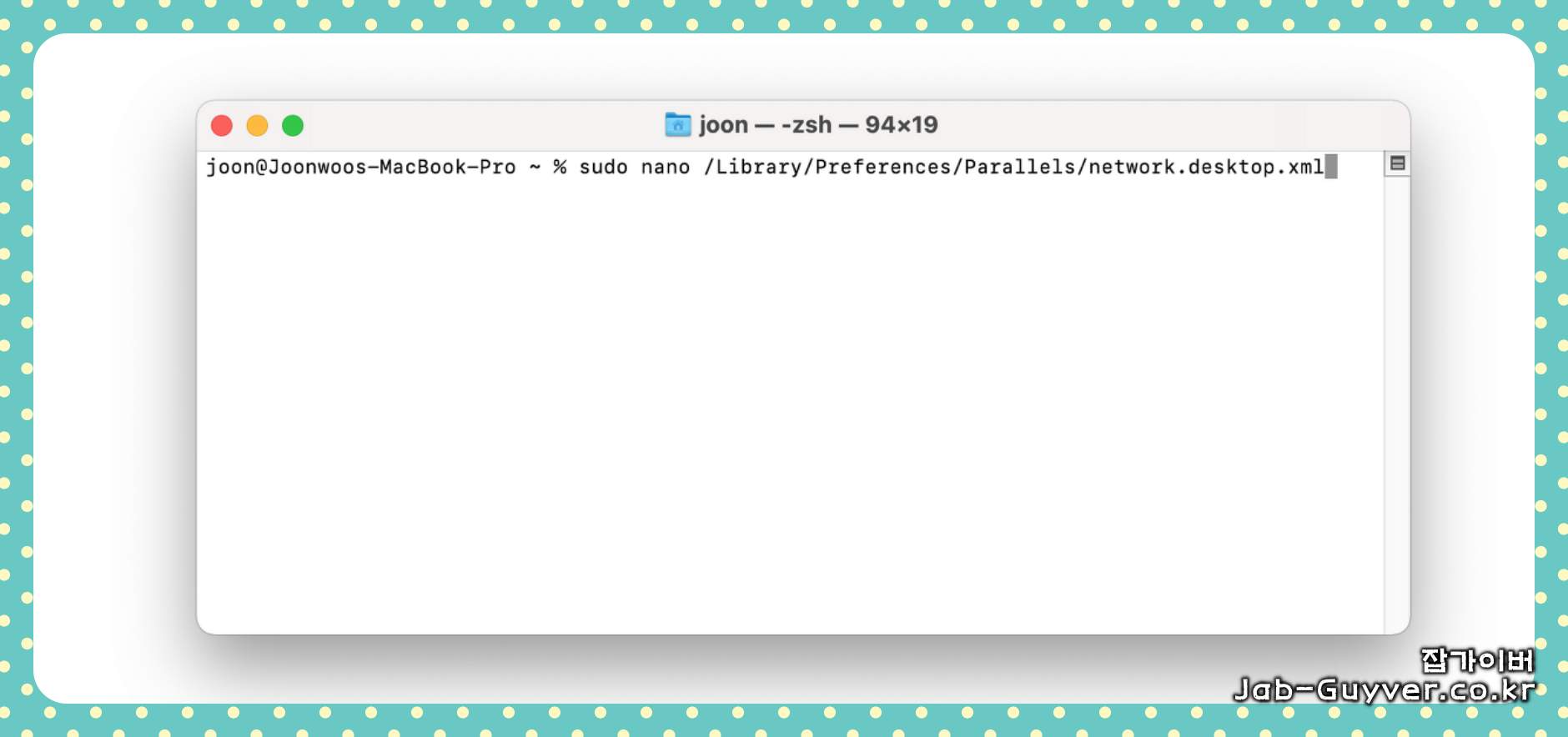 Intel Mac Parallels 16 network.desktop.xml UseKextless 설정