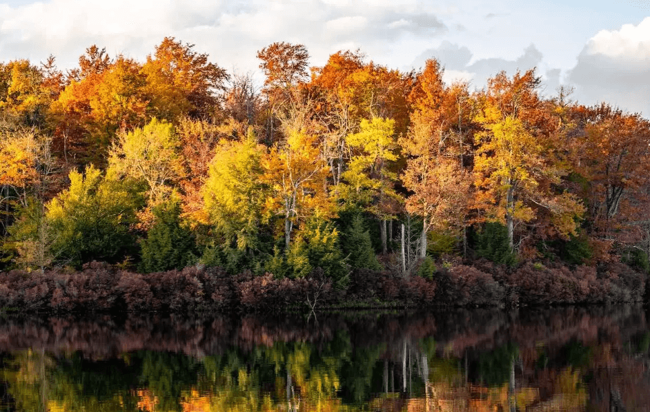 서울대 관악수목원 단풍 절정 가이드 놓칠 수 없는 인생샷 명소 5